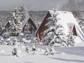 Holiday Home Tennenbronn-1 by Interhome